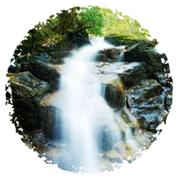 スタミナうなぎのルーツ1:地下水